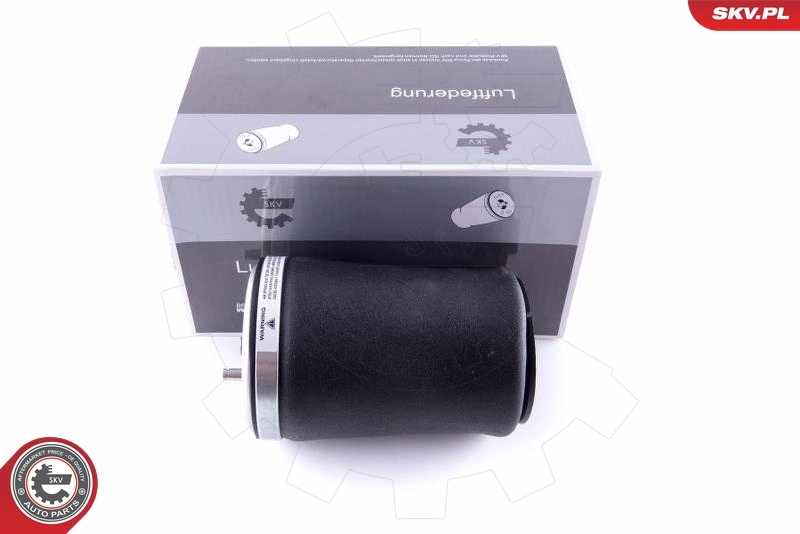 Air Spring, suspension